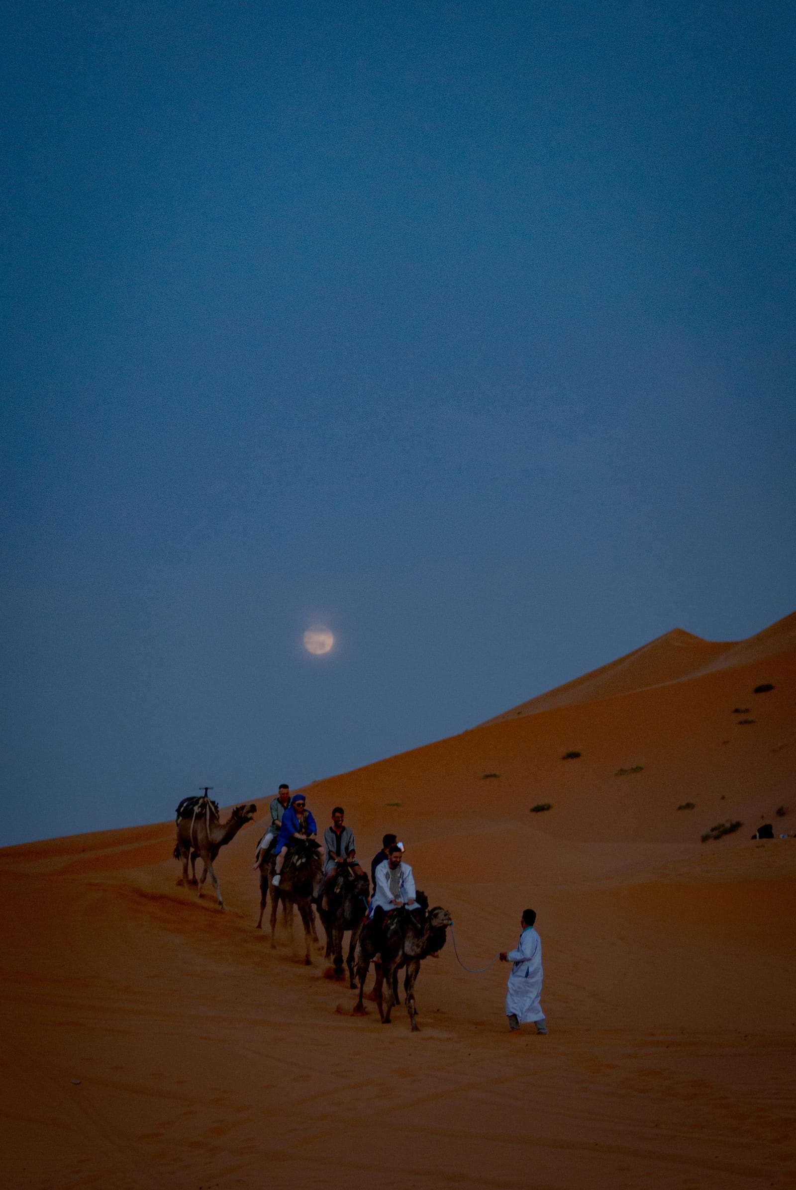 Desert camp
