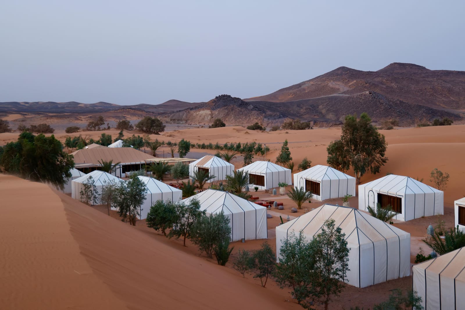 Desert camp